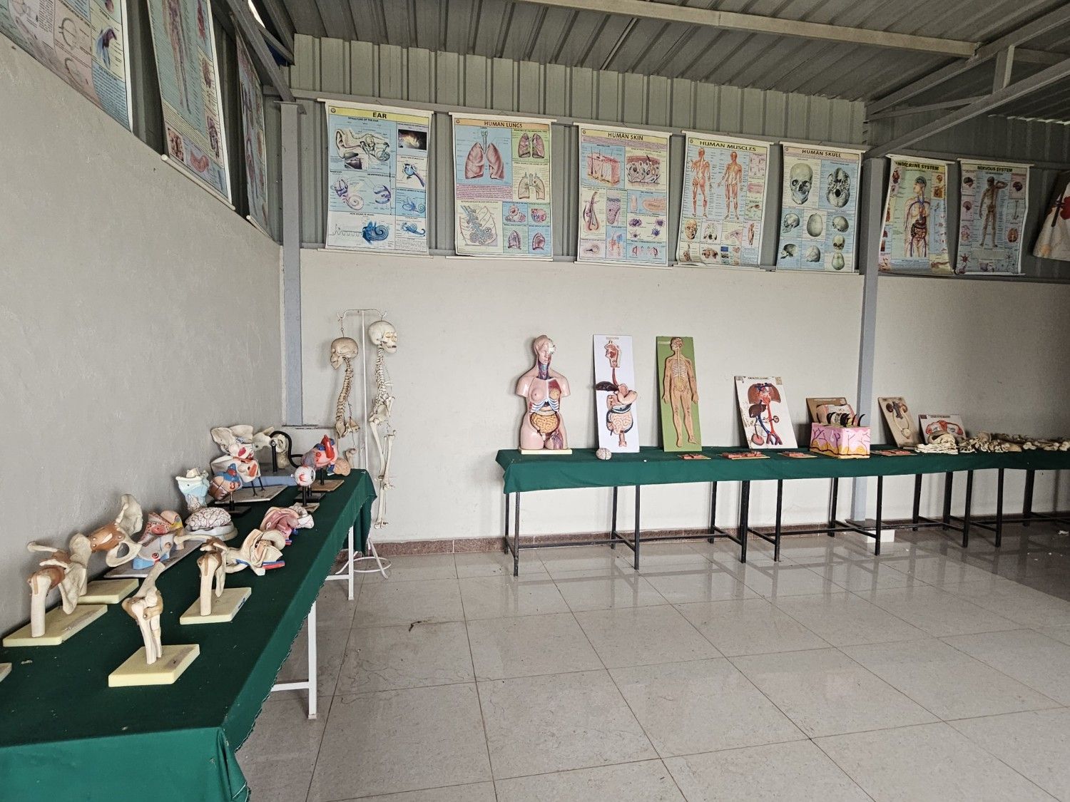 B.Sc Nursing